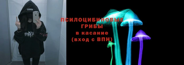 соль ск Алексеевка