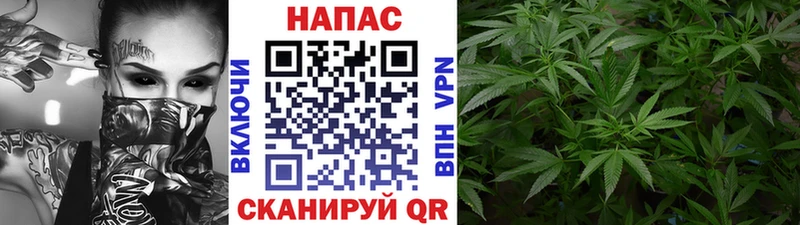 Бошки марихуана тримм  сколько стоит  Касли 